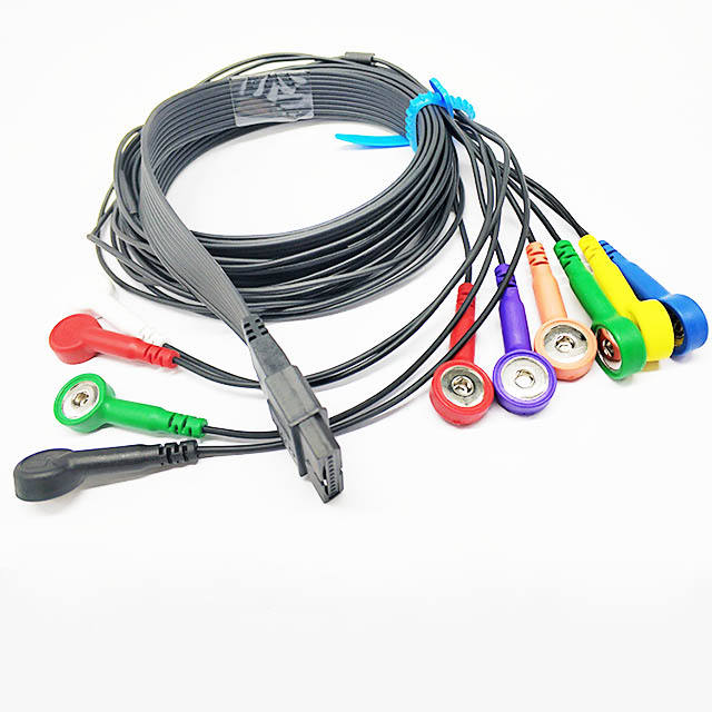 Compatible Schiller Holter Recorder Ecg Cable With 10 Lead Snap Manufacturer